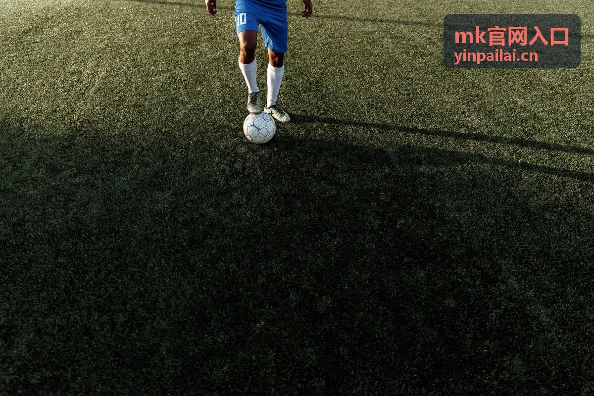 MK官网入口接入流程示意图
